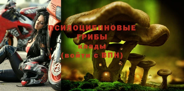 трава Киренск